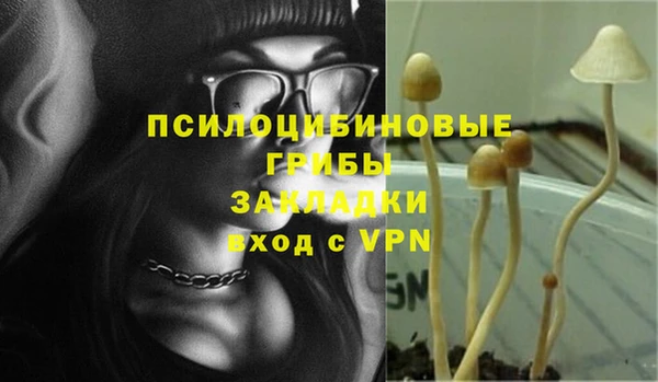 стаф Алзамай