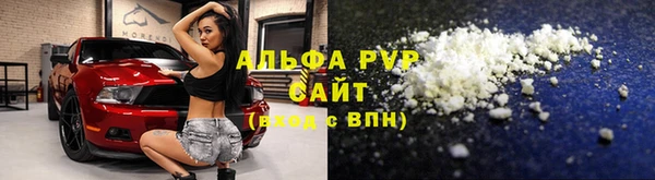 стаф Алзамай