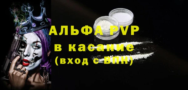 стаф Алзамай