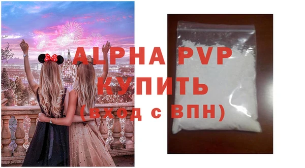 стаф Алзамай