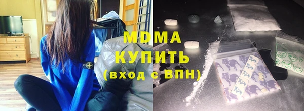 стаф Алзамай