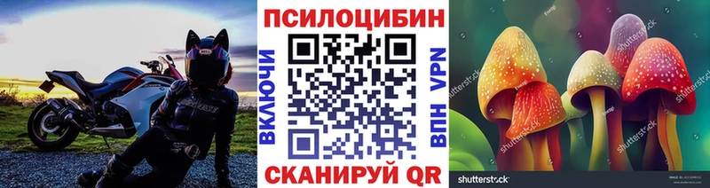 Псилоцибиновые грибы Magic Shrooms Красногорск